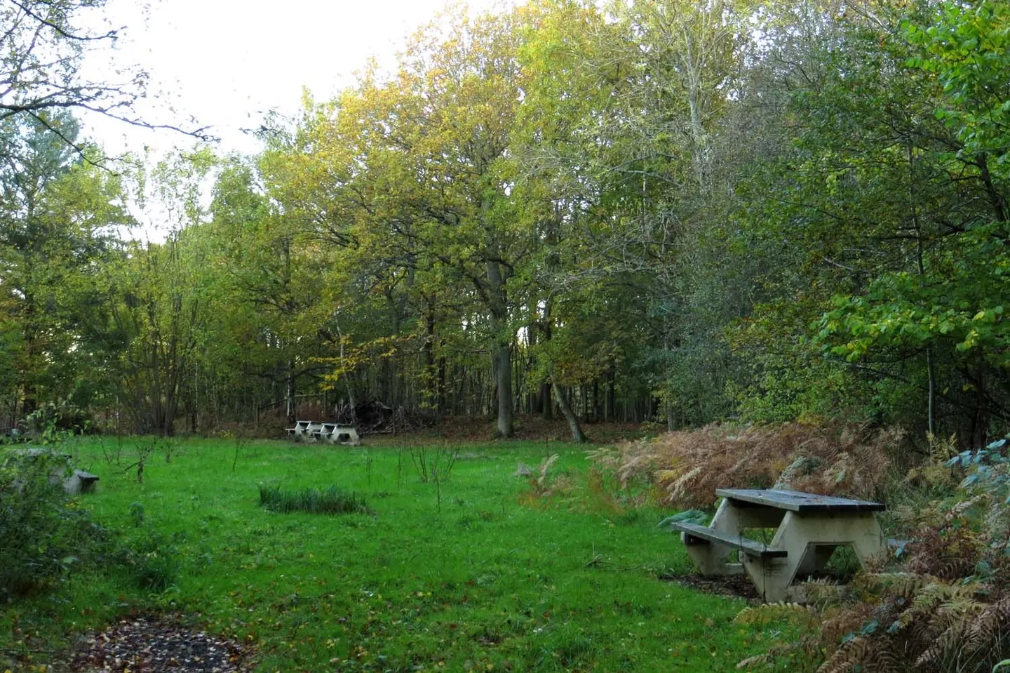 Photo of Snelsmore Common Country Park, a country park near Boxford in the North Wessex Downs, Berkshire, south east England.
