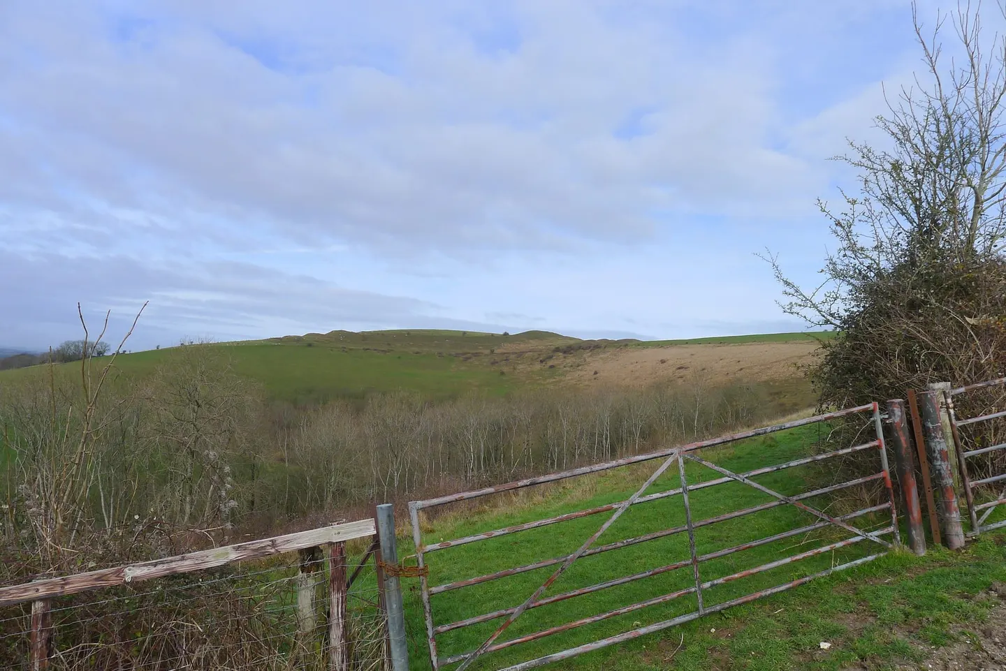 Photo of Hambledon Hill, a National Nature Reserve near Sturminster Newton, Dorset, south west England.