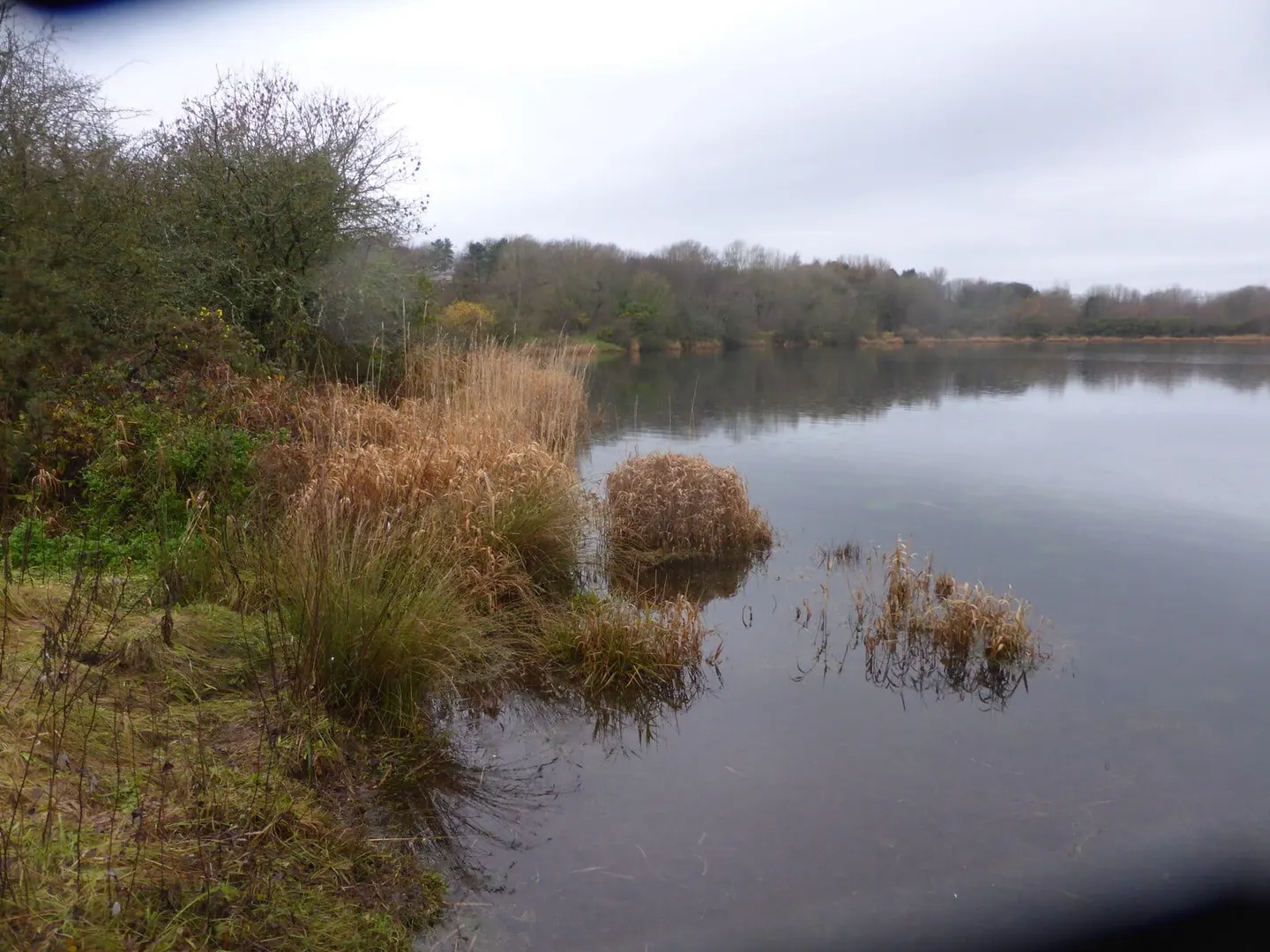 Photo of Longland Lake Country Park, a country park near St Bees, Cumbria, north west England.