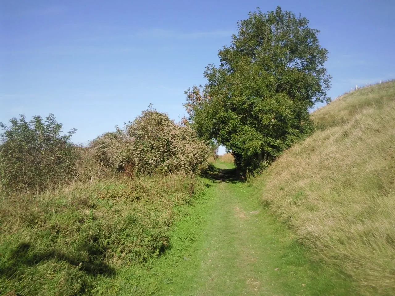 Photo of Peene Quarry Country Park, a country park near Hythe, Kent, south east England.
