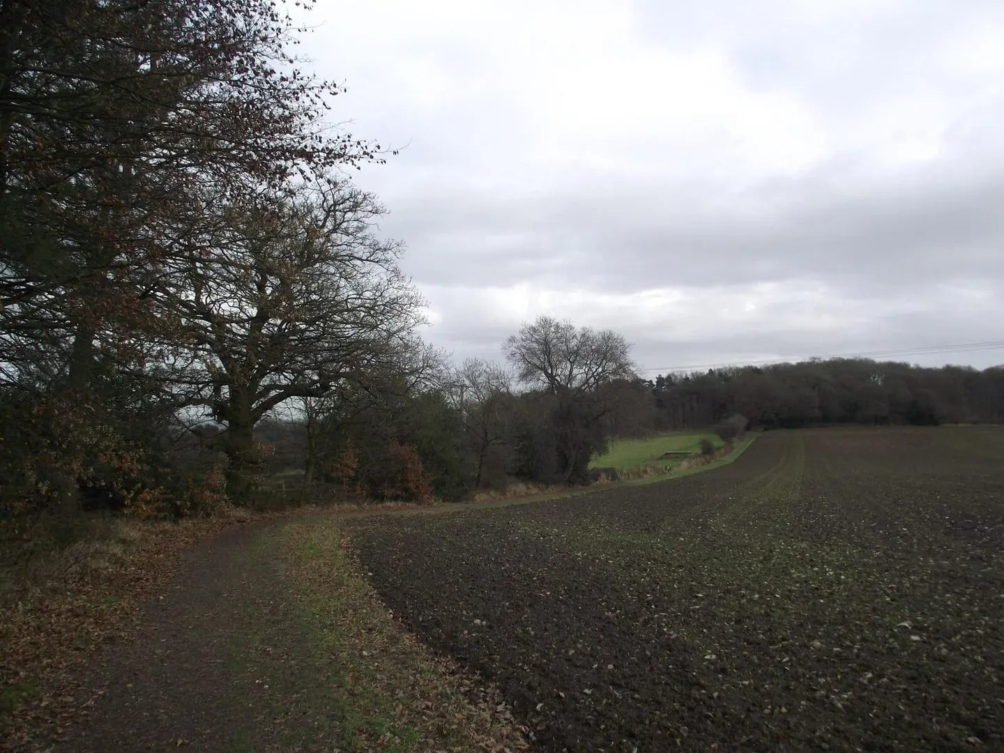 Photo of Broombriggs Farm Country Park, a country park near Woodhouse Eaves, Leicestershire, central England.