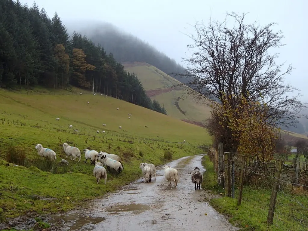 Photo of Alport Valley, a country estate near Edale in the Peak District, Derbyshire, central England.