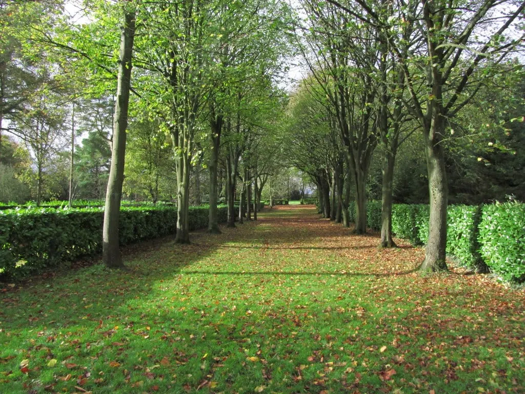 Photo of Whipsnade Tree Cathedral, a folly near Ivinghoe in the Chilterns, Bedfordshire, eastern England.