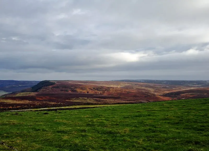 Photo of Scarthwood Moor, a country estate near Osmotherley in the North York Moors, North Yorkshire, northern England.