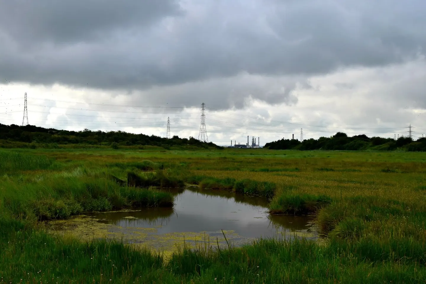Photo of Wat Tyler Country Park, a country park near Leigh-on-Sea, Essex, eastern England.