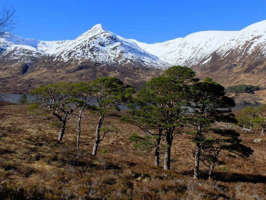 Photo of Kintail, a National Scenic Area in Highland, the Scottish Highlands and Islands.
