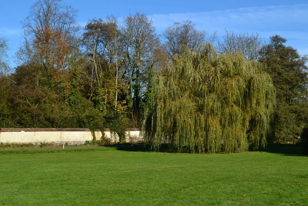 Photo of Nether Wallop, a village in Hampshire, south east England.