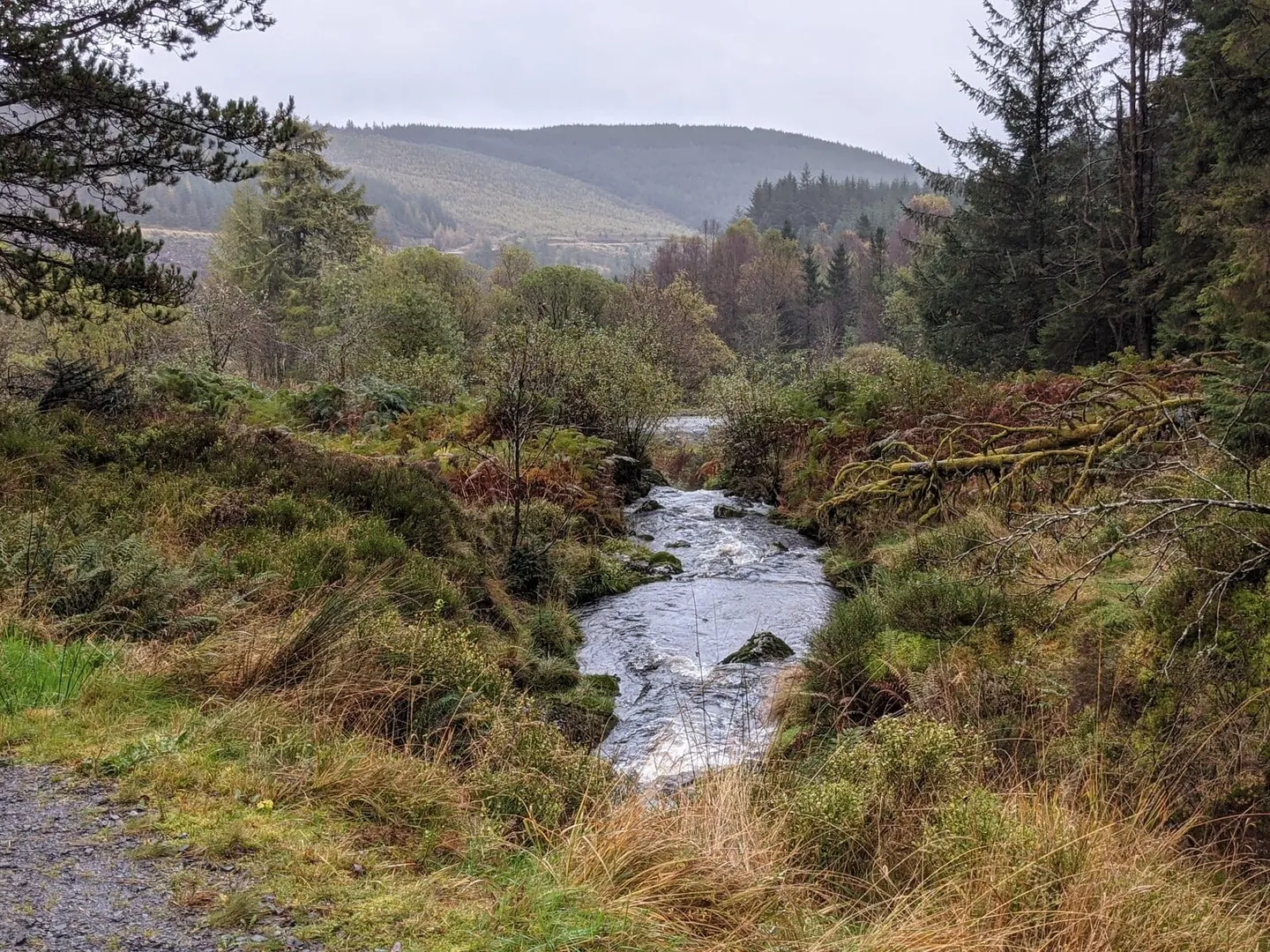 Photo of Source of the Severn, a landmark near Machynlleth, the Powys, mid Wales.