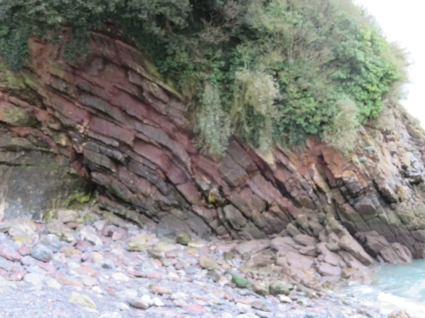 Photo of Beacon Cove, a swimming spot near Cockington, Devon, south west England.
