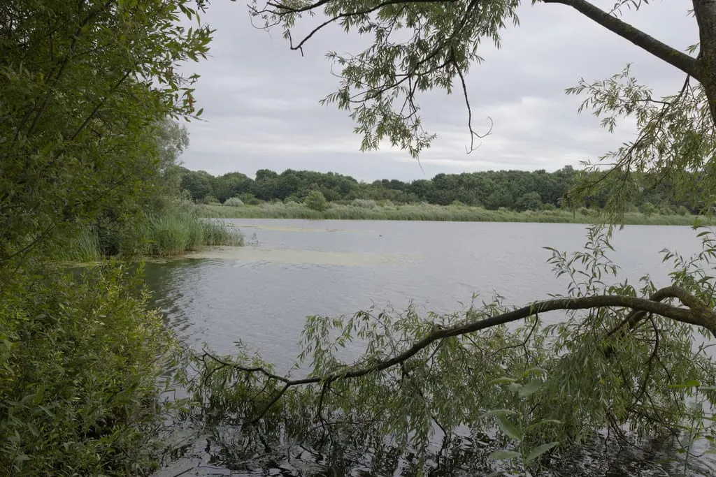 Photo of Stanwick Lakes Country Park, a country park near Lowick, Northamptonshire, central England.