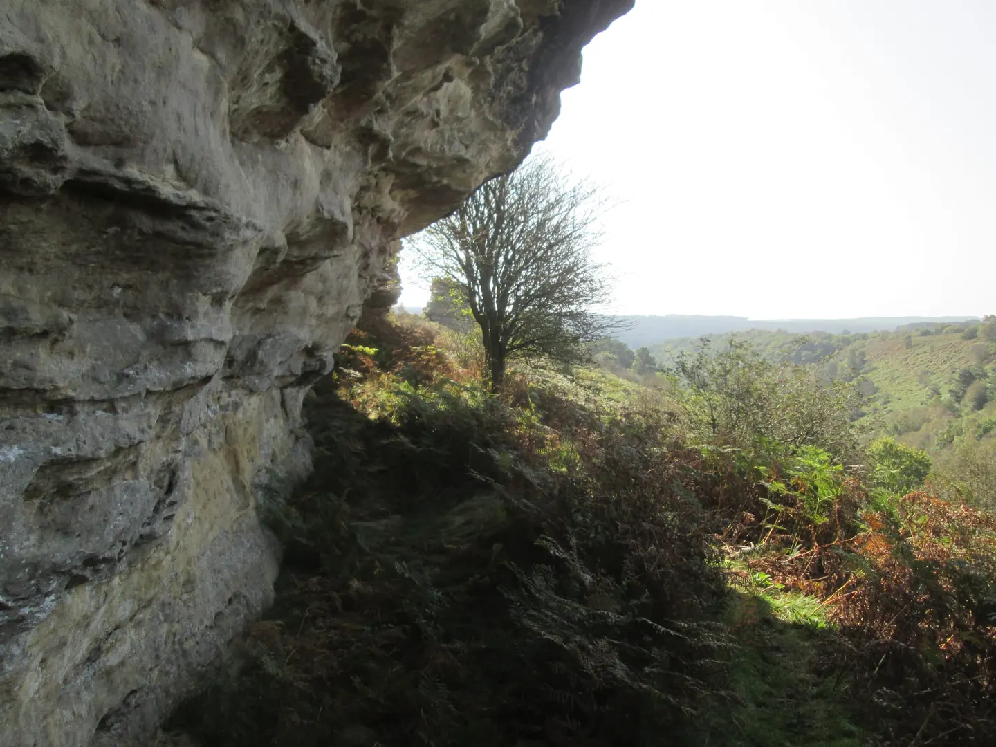 Photo of Bridestones, a country estate near Levisham in the North York Moors, North Yorkshire, northern England.