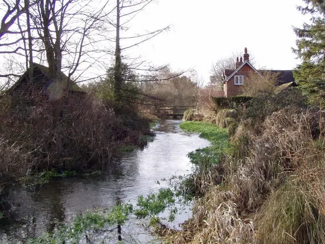 Photo of Warnborough Green, a Site of Special Scientific Interest near North Warnborough, Hampshire, south east England.