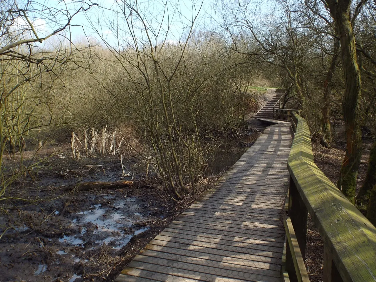 Photo of Chasewater Country Park, a country park near Cannock, Staffordshire, central England.
