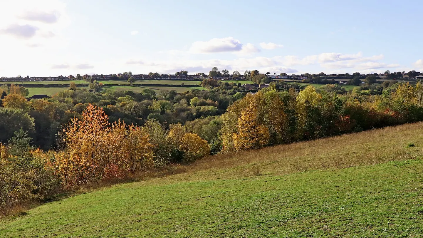 Photo of Severn Valley Country Park, a country park near Bewdley, Shropshire, central England.