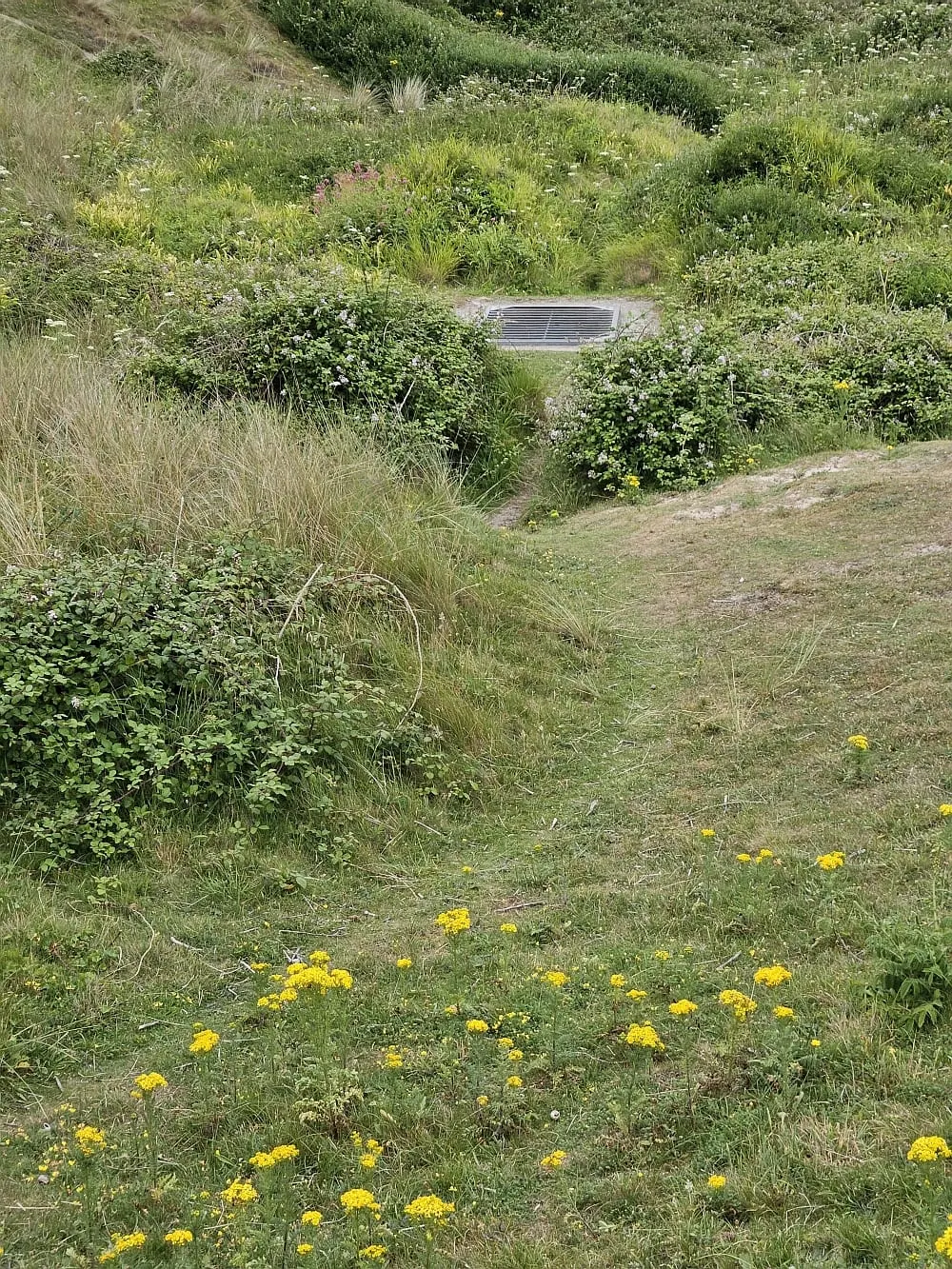 Photo of Upton Towans, a swimming spot near St Ives, Cornwall, south west England.