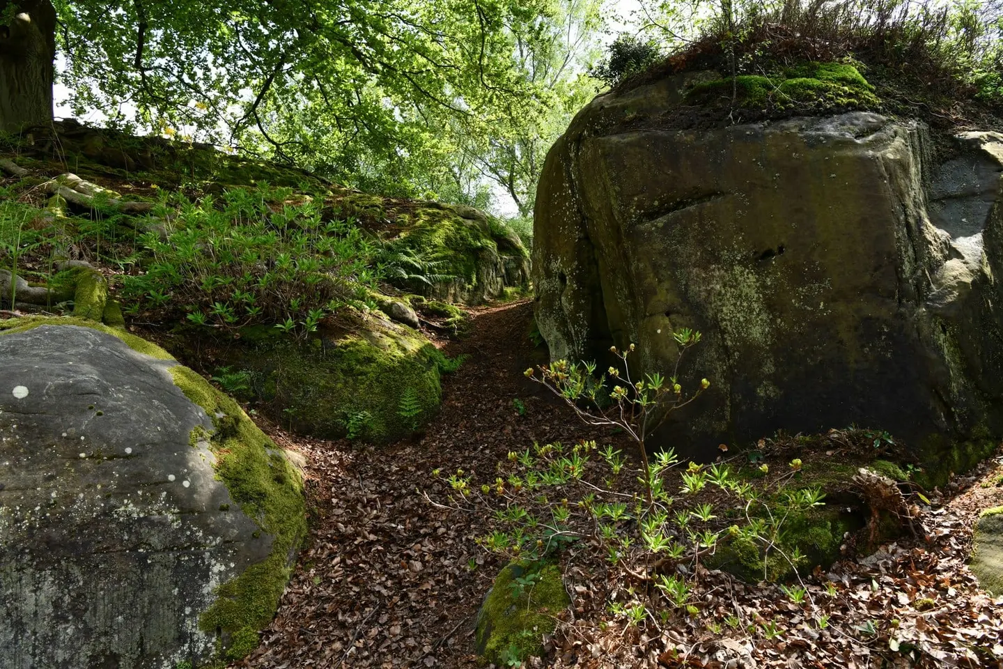 Photo of Penns in the Rocks, a Grade II* registered house & garden near Withyham in the High Weald, East Sussex, south east England.