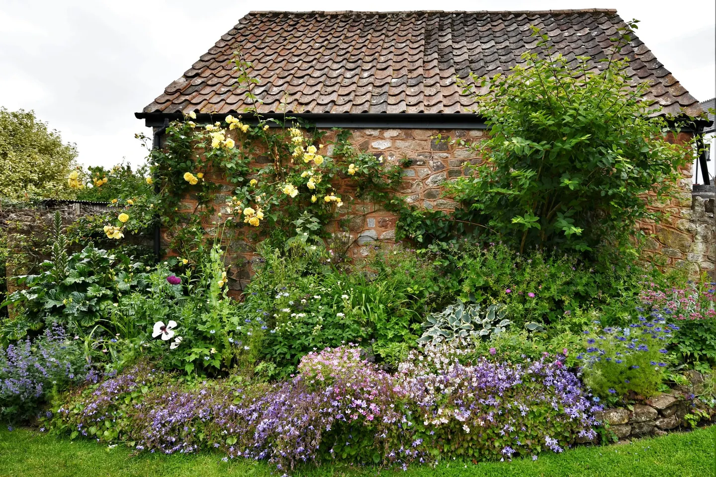 Photo of Coleridge Cottage, a house & garden near Stogursey, Somerset, south west England.