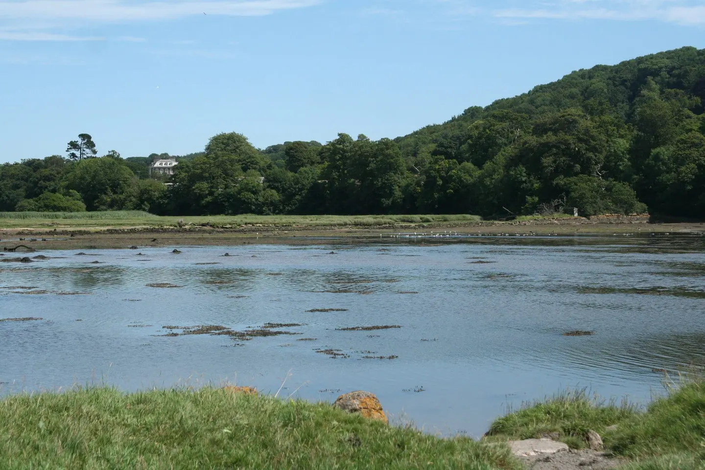 Photo of Yealm Estuary, a Site of Special Scientific Interest near Newton Ferrers, Devon, south west England.