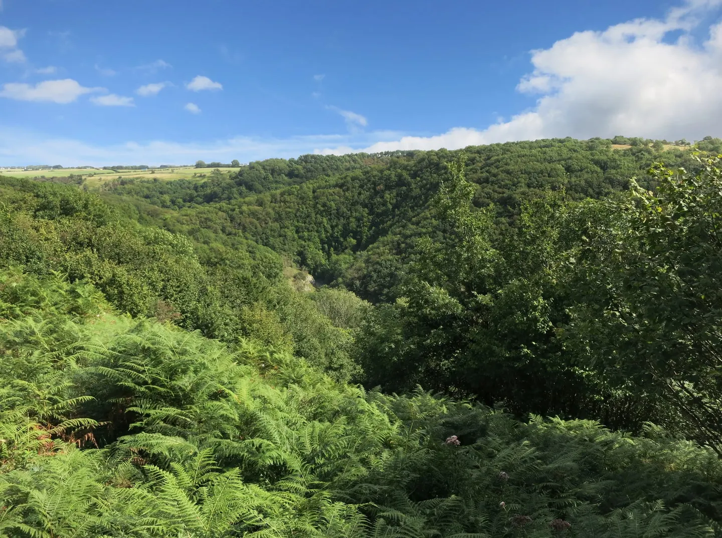Photo of Cheddar Gorge, a Site of Special Scientific Interest in the Mendip Hills, Somerset, south west England.