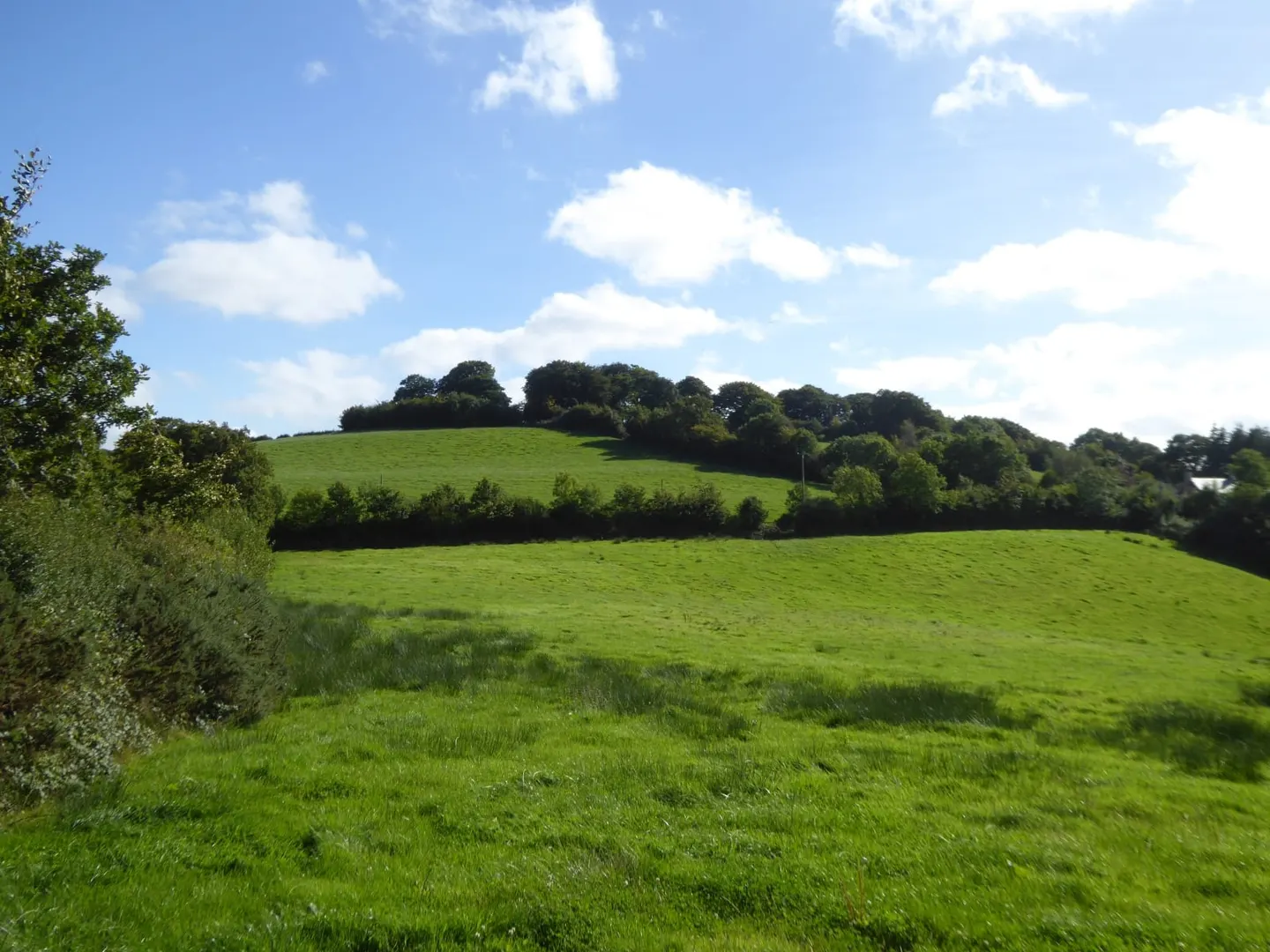 Photo of Huntsham Castle, the earthworks of a former castle near Bampton (Bampton), Devon, south west England.