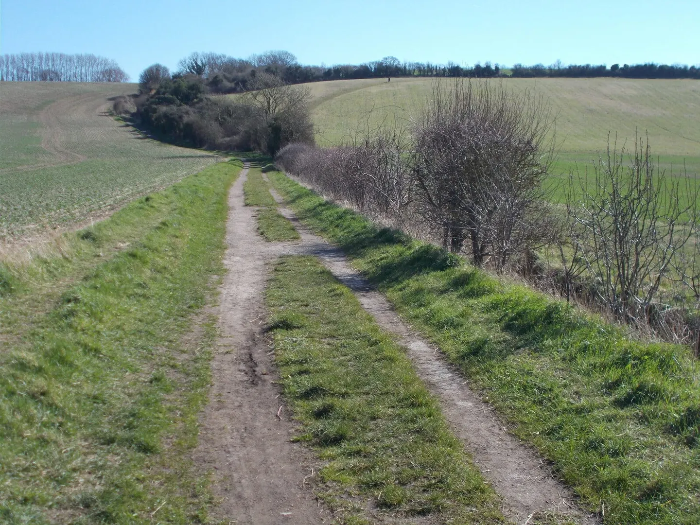 Photo: Whitehill (Butterfield Green), a 178m hill near Luton in the Chilterns, Bedfordshire, eastern England.