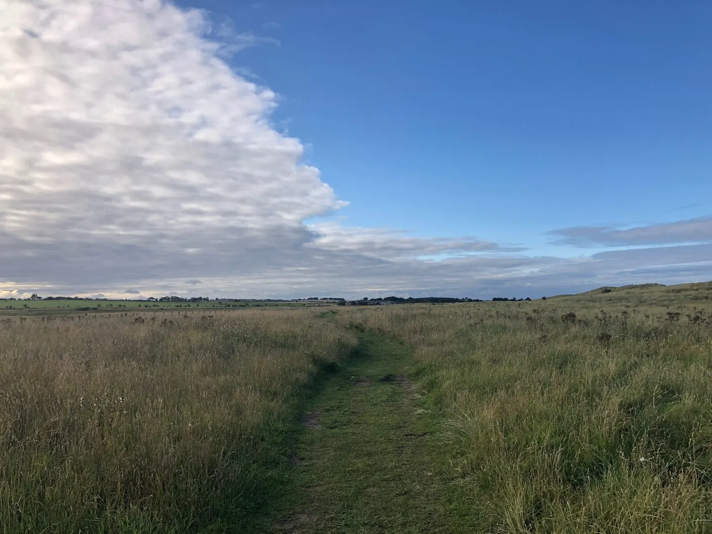 Photo along the Northumberland Coast Path, a 62-mile long-distance path running from Cresswell to Berwick-upon-Tweed, north east England.