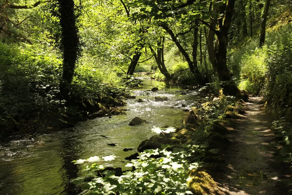 Photo of Chee Dale, a gorge near Tideswell in the Peak District, Derbyshire, central England.