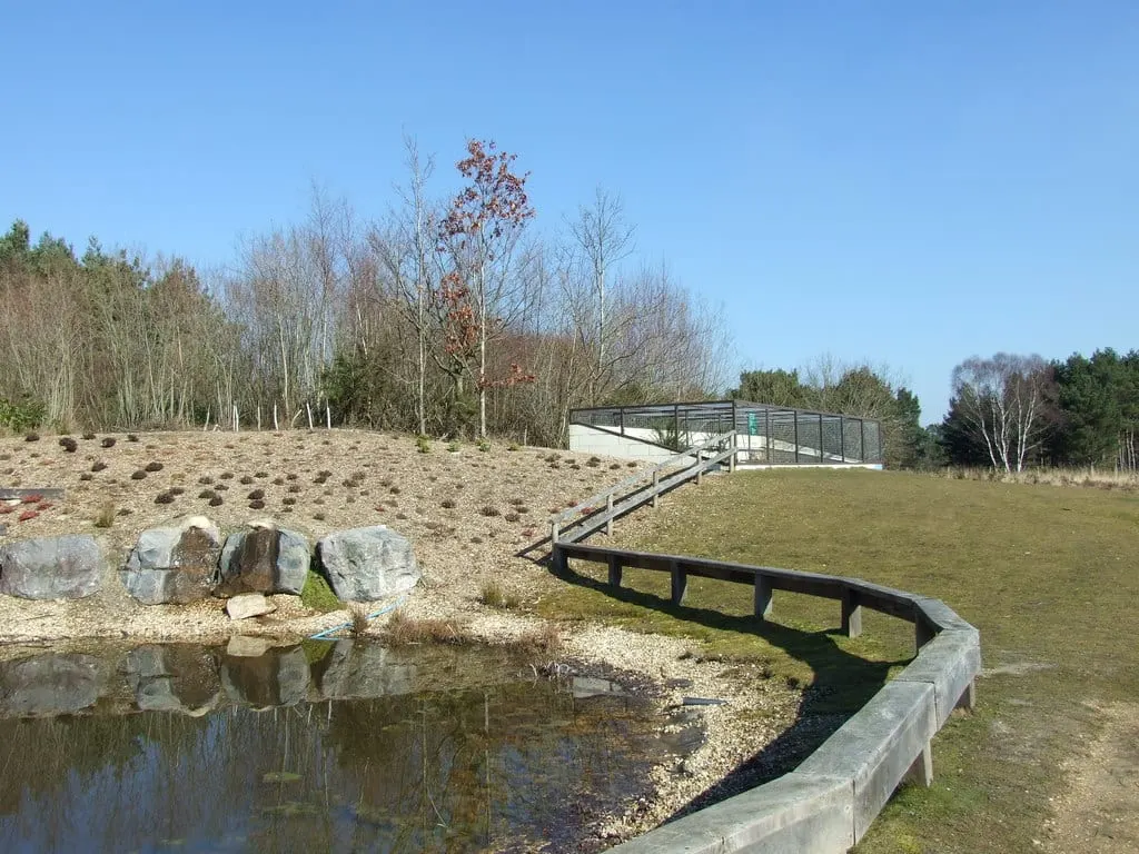 Photo of Avon Heath Country Park, a country park near Burley, Dorset, south west England.
