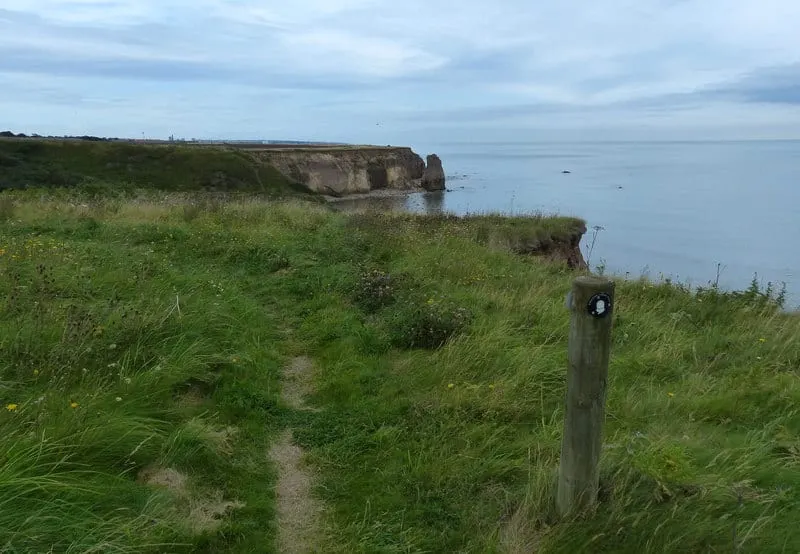 Photo of Durham Coast, a National Nature Reserve near Horden, County Durham, north east England.