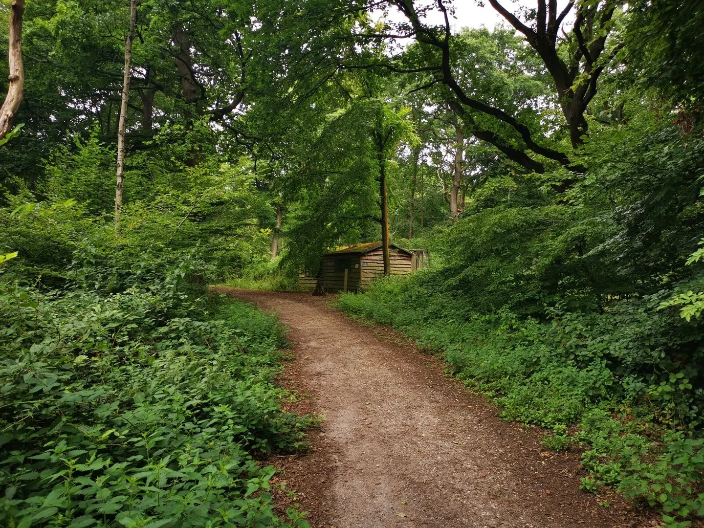 Photo of Bayhurst Wood Country Park, a country park near Watford, London, England.