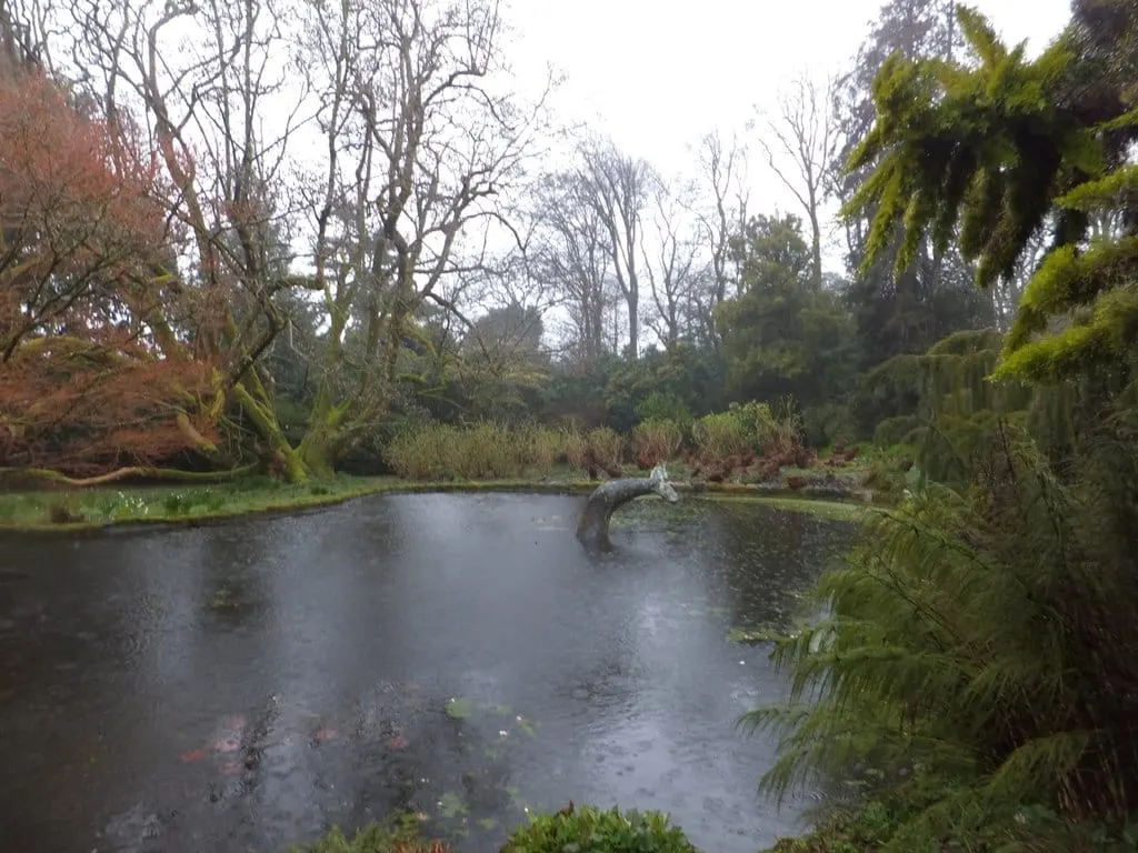 Photo of Trewidden Garden, a garden near Buryas Bridge, Cornwall, south west England.