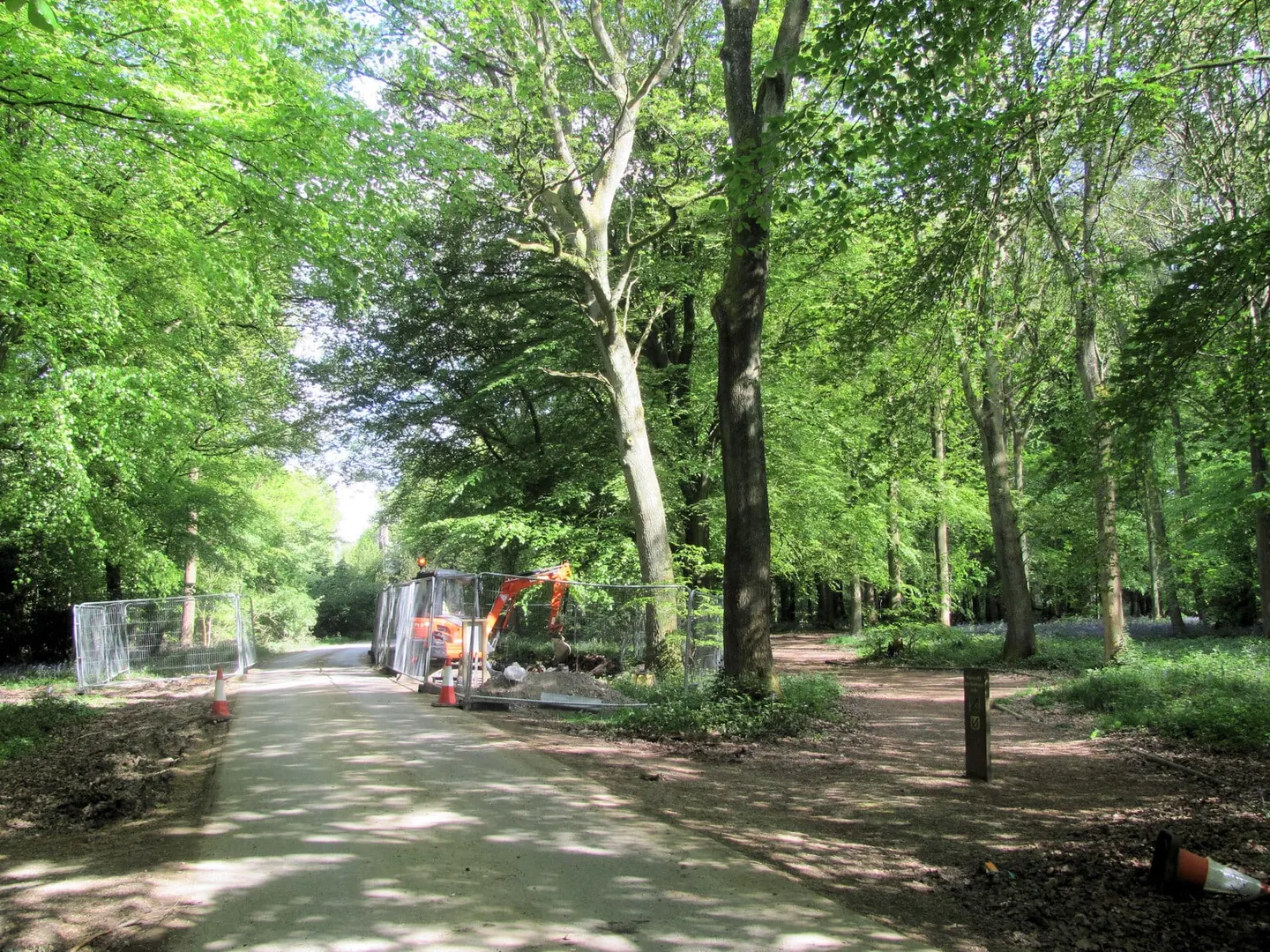 Photo: Wendover Woods, a 268m hill in the Chilterns, Buckinghamshire, south east England.