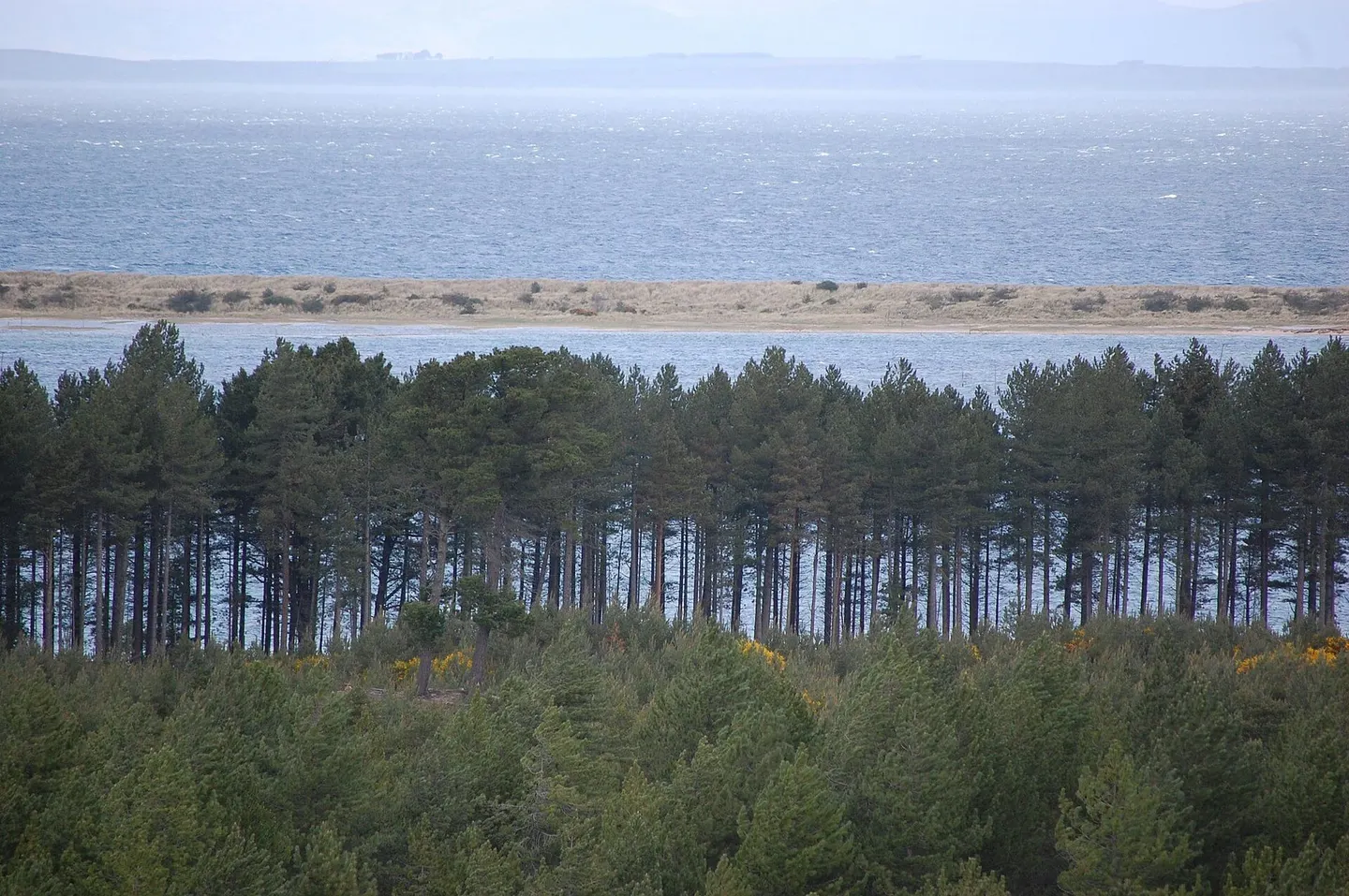 Photo of Culbin Forest, a visitor attraction near Nairn, Highland, the Scottish Highlands and Islands.