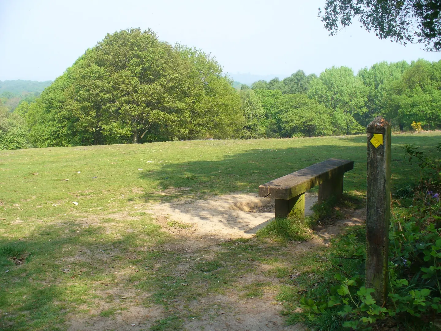 Photo of Holmwood Common, a country estate near Coldharbour, Surrey, south east England.