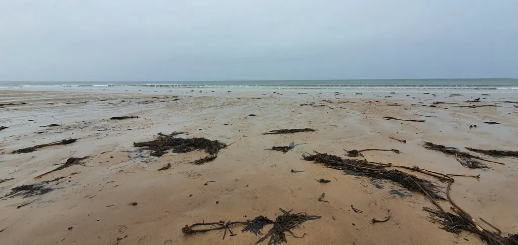 Photo of Druridge Bay South, a swimming spot near Cresswell, Northumberland, north east England.