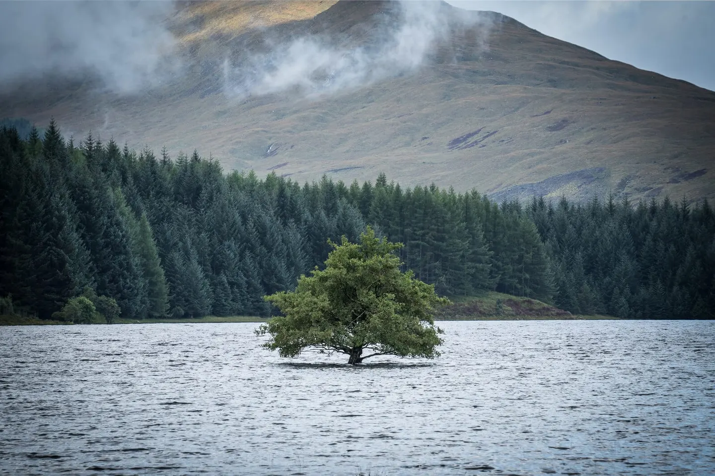Photo of Loch Tulla, a loch near Bridge of Orchy in Ben Nevis and Glen Coe, Argyll and Bute, the Scottish Highlands and Islands.