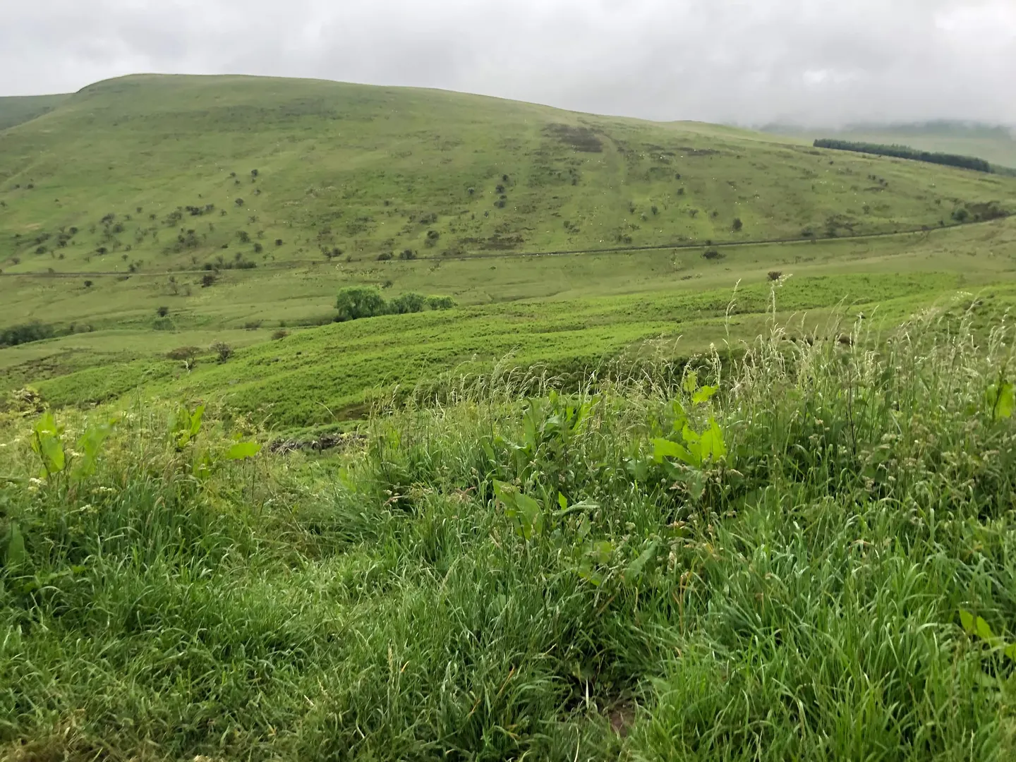 Photo of Tarell Valley, a country estate near Libanus in Bannau Brycheiniog, the Powys, mid Wales.