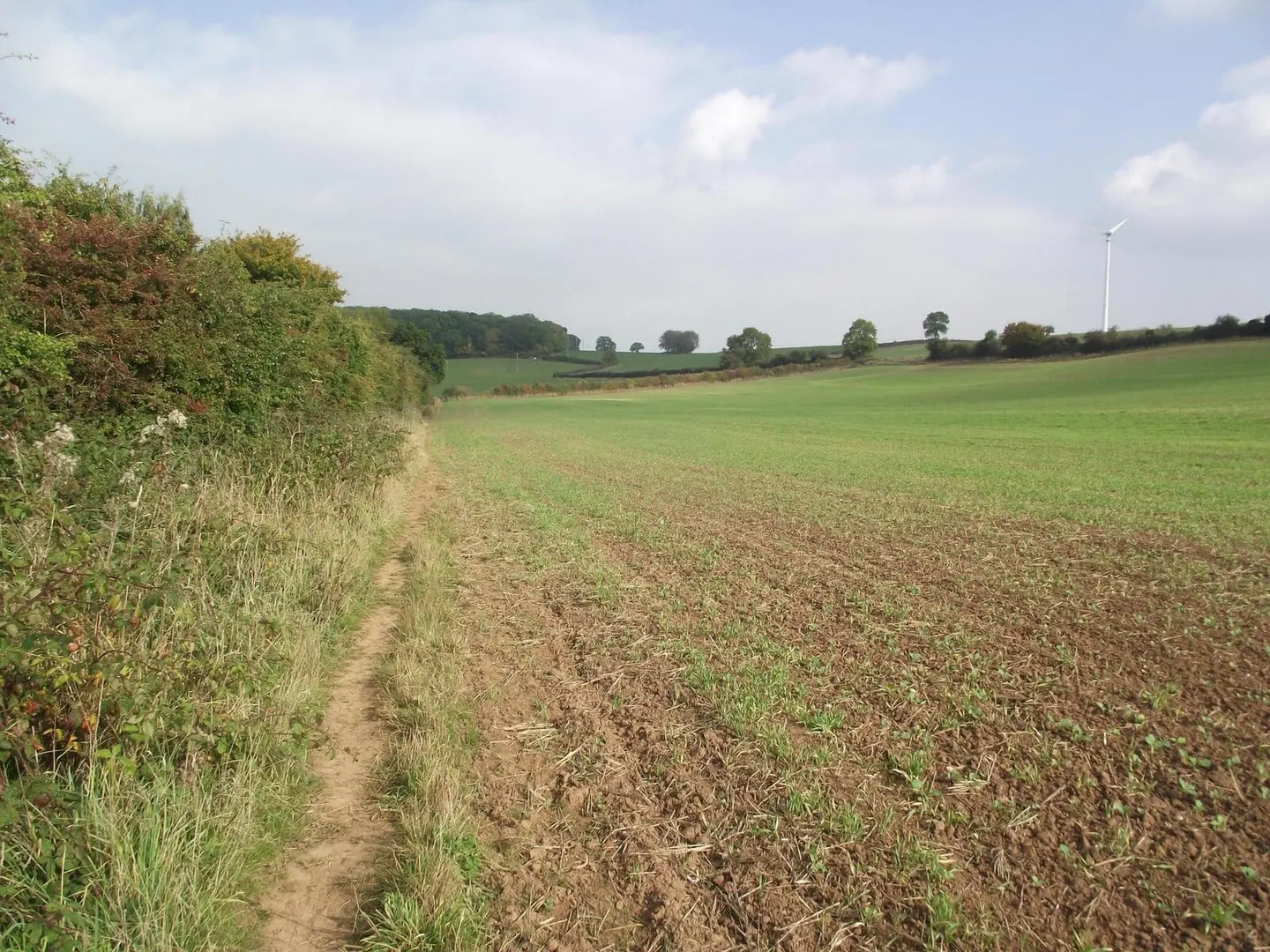 Photo of Sheet Hedges Country Park, a country park near Anstey, Leicestershire, central England.