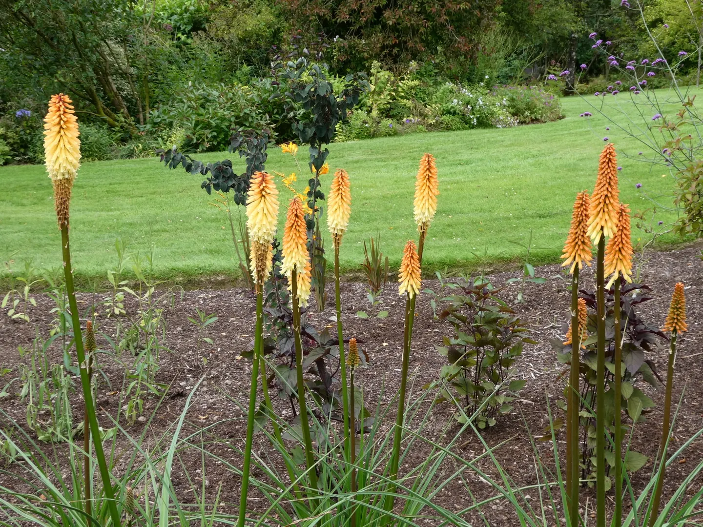 Photo of Threave Garden, a garden near Castle Douglas, Dumfries and Galloway, southern Scotland.