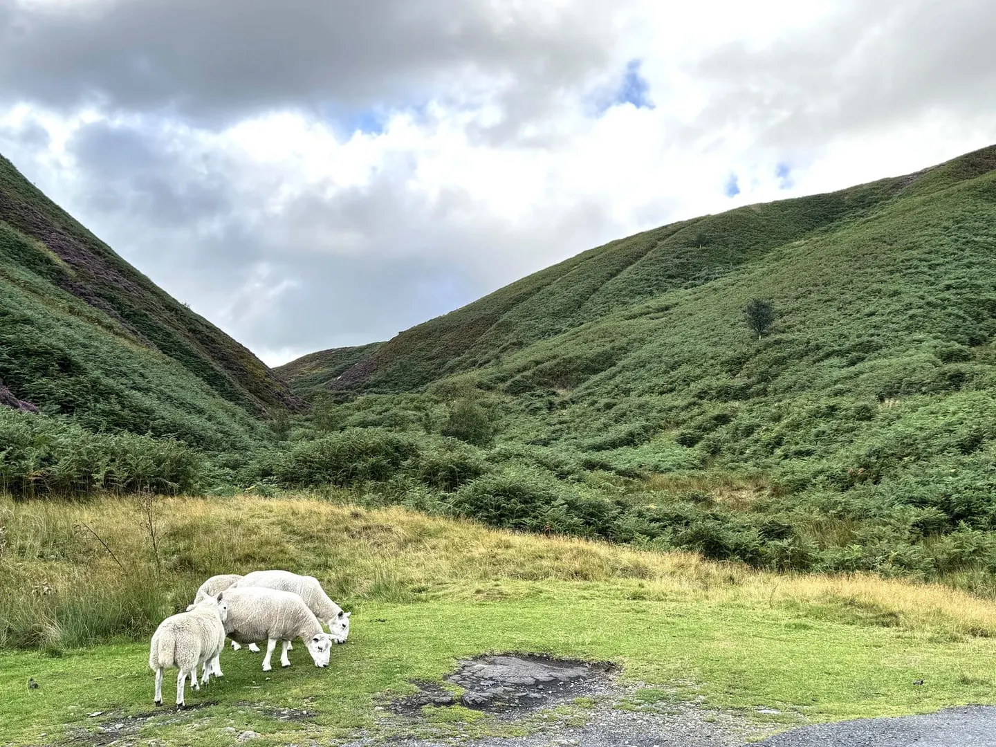 Photo: Trough of Bowland, a viewpoint near Dunsop Bridge in the Forest of Bowland, Lancashire, north west England.