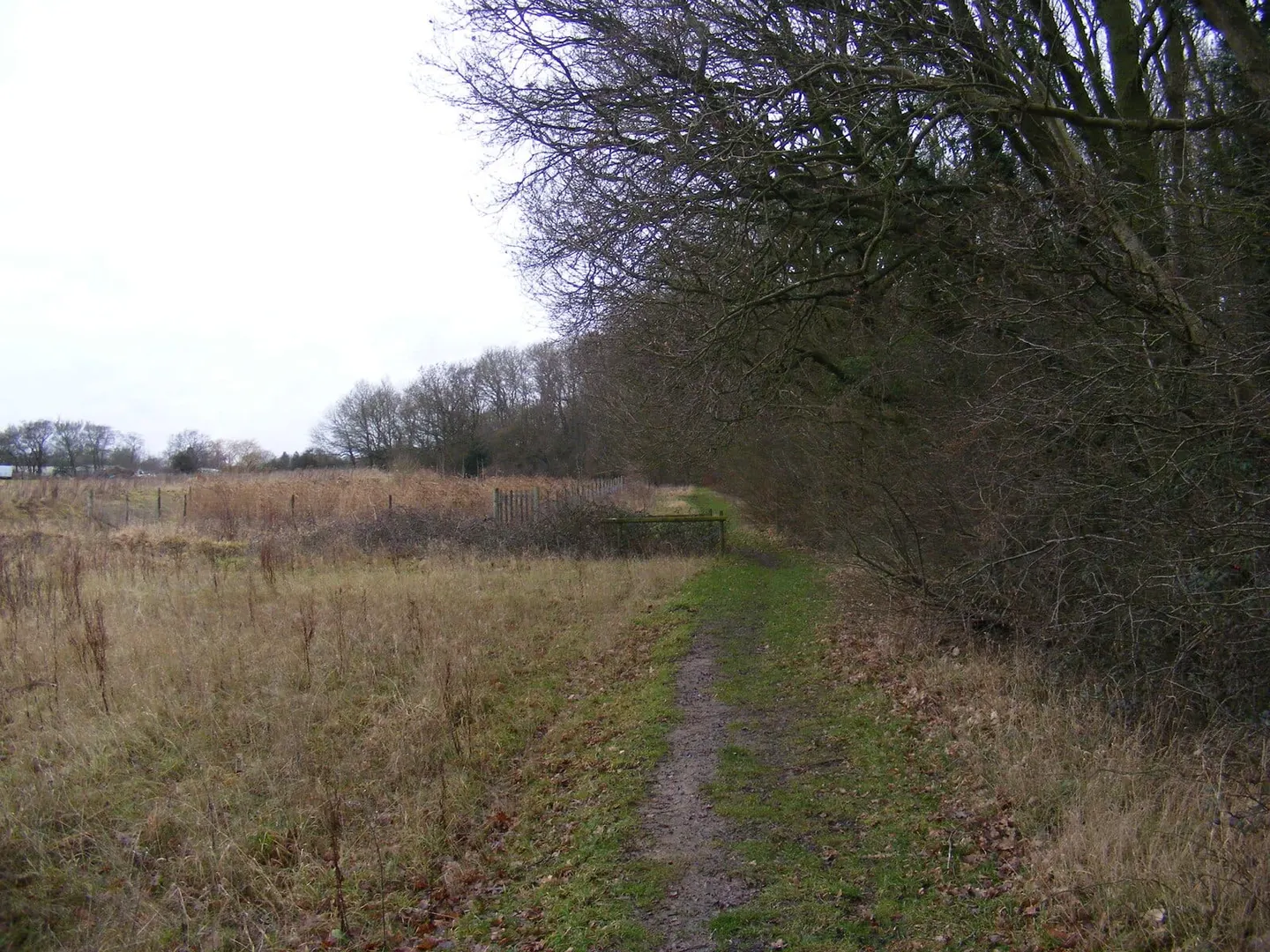 Photo of Lonely Farm Country Park, a country park near Snape, Suffolk, eastern England.