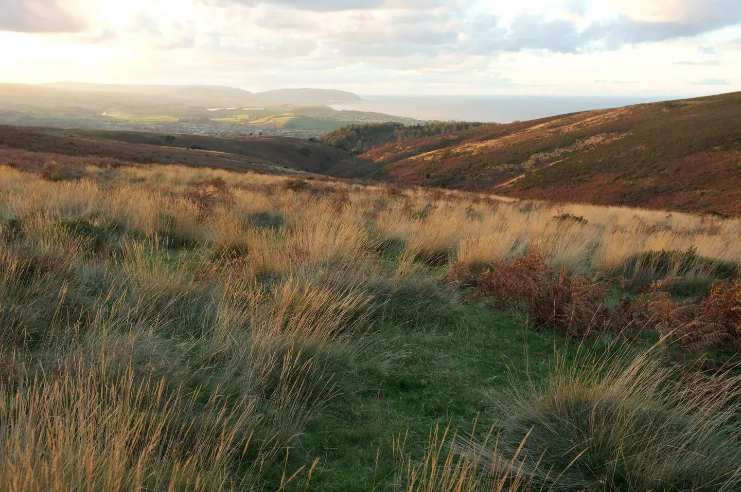 Photo of Beacon and Bicknoller Hills, a country estate in the Quantock Hills, Somerset, south west England.