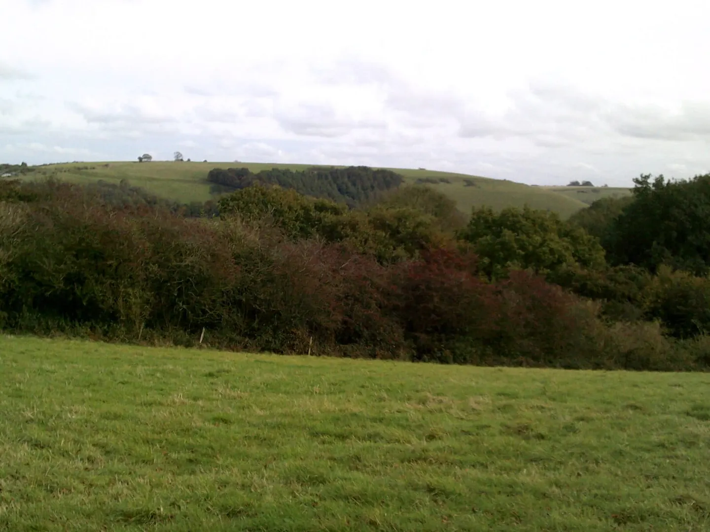 Photo: Walbury Hill, a 297m hill near Kintbury in the North Wessex Downs, Berkshire, south east England.