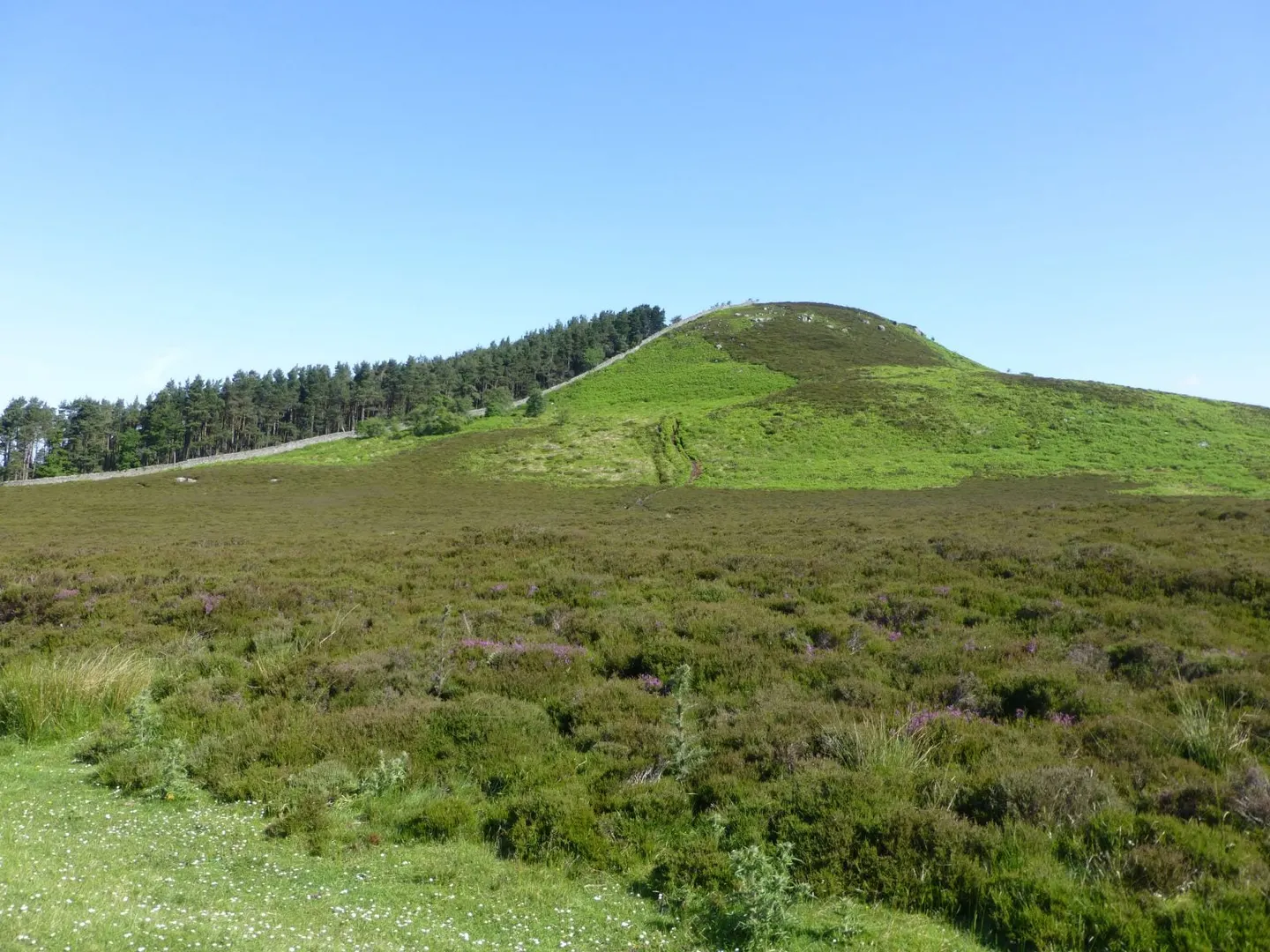 Photo: Ros Castle, a 316m hill near Chatton, Northumberland, north east England.
