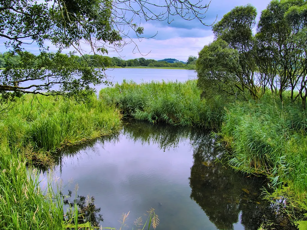 Photo of Carlingwark Loch, a loch near Castle Douglas, Dumfries and Galloway, southern Scotland.