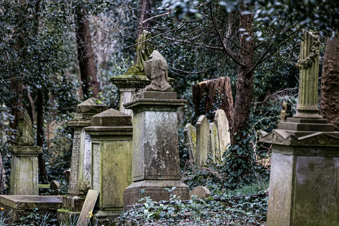 Photo of Highgate Cemetery, a Grade I registered house & garden in London, England.