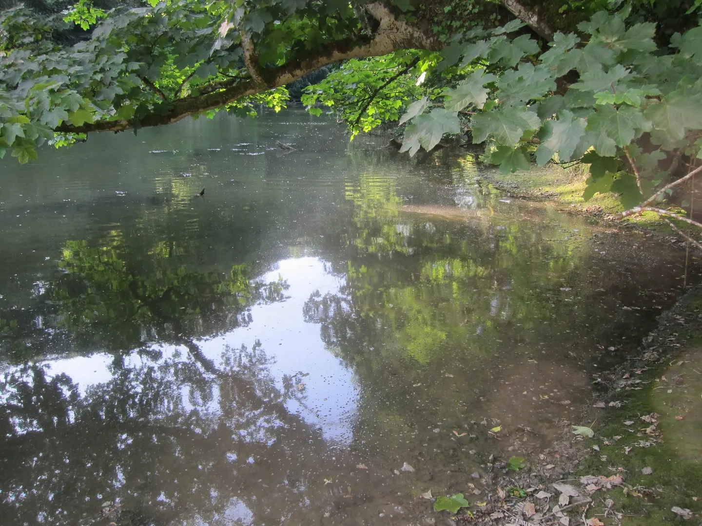 Photo of Frenchman's Creek, a landmark near Helford, Cornwall, south west England.