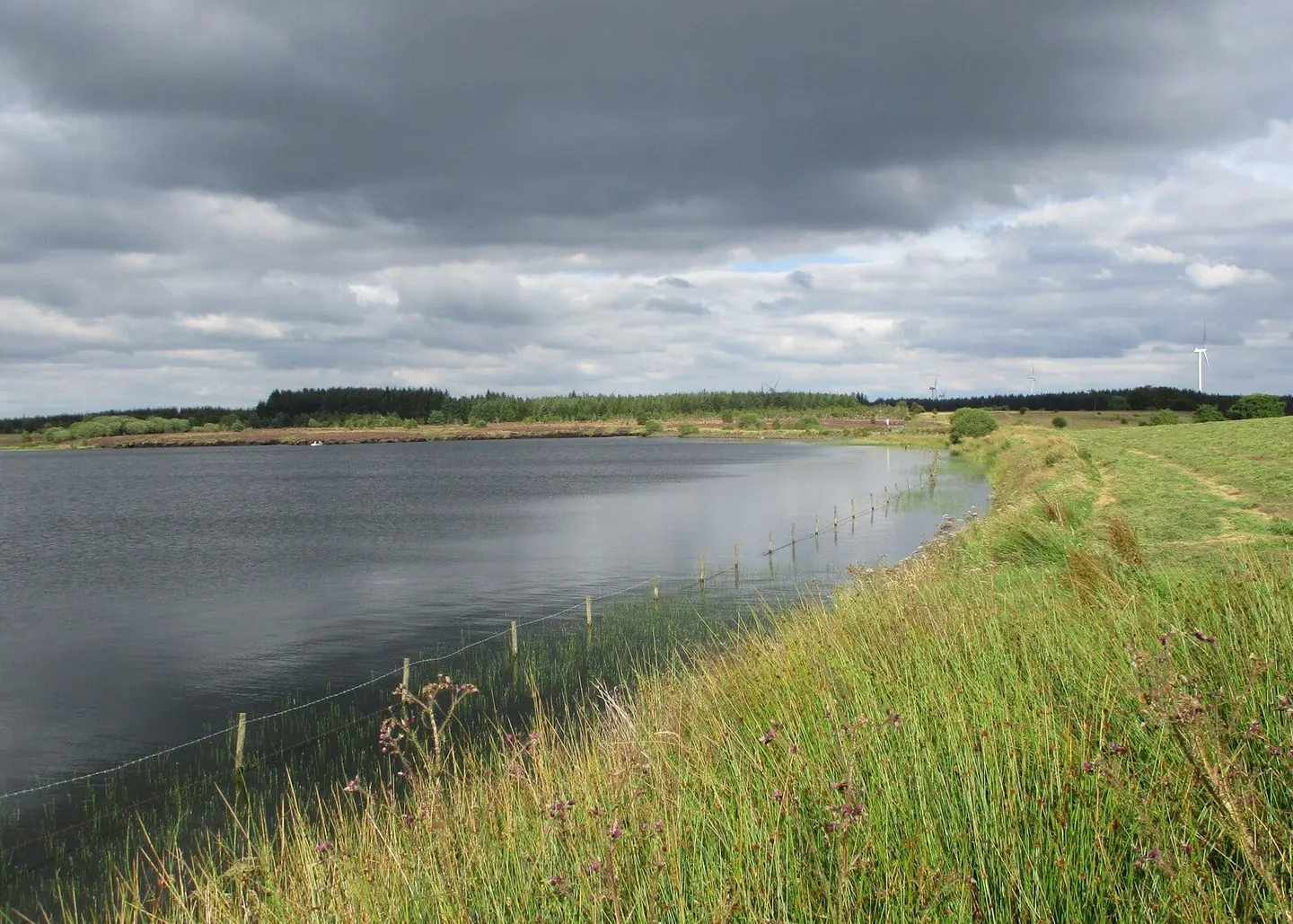 Photo of Black Loch, a loch near Torphichen, Falkirk, central Scotland.