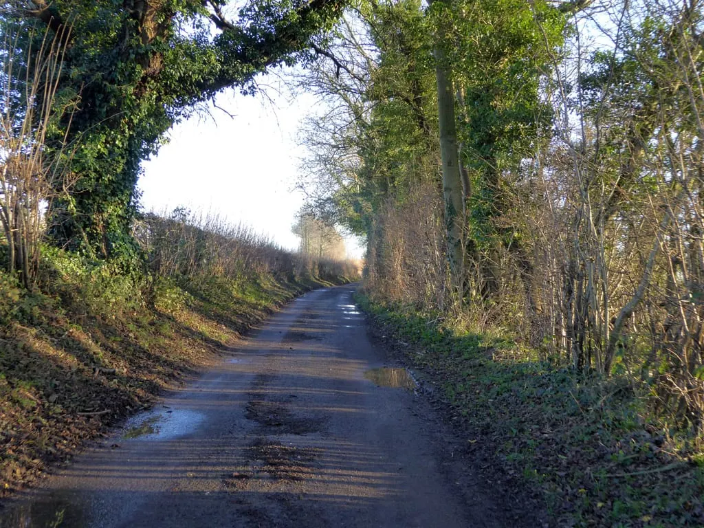 Photo of Westwell Wines, a vineyard near Charing, Kent, south east England.