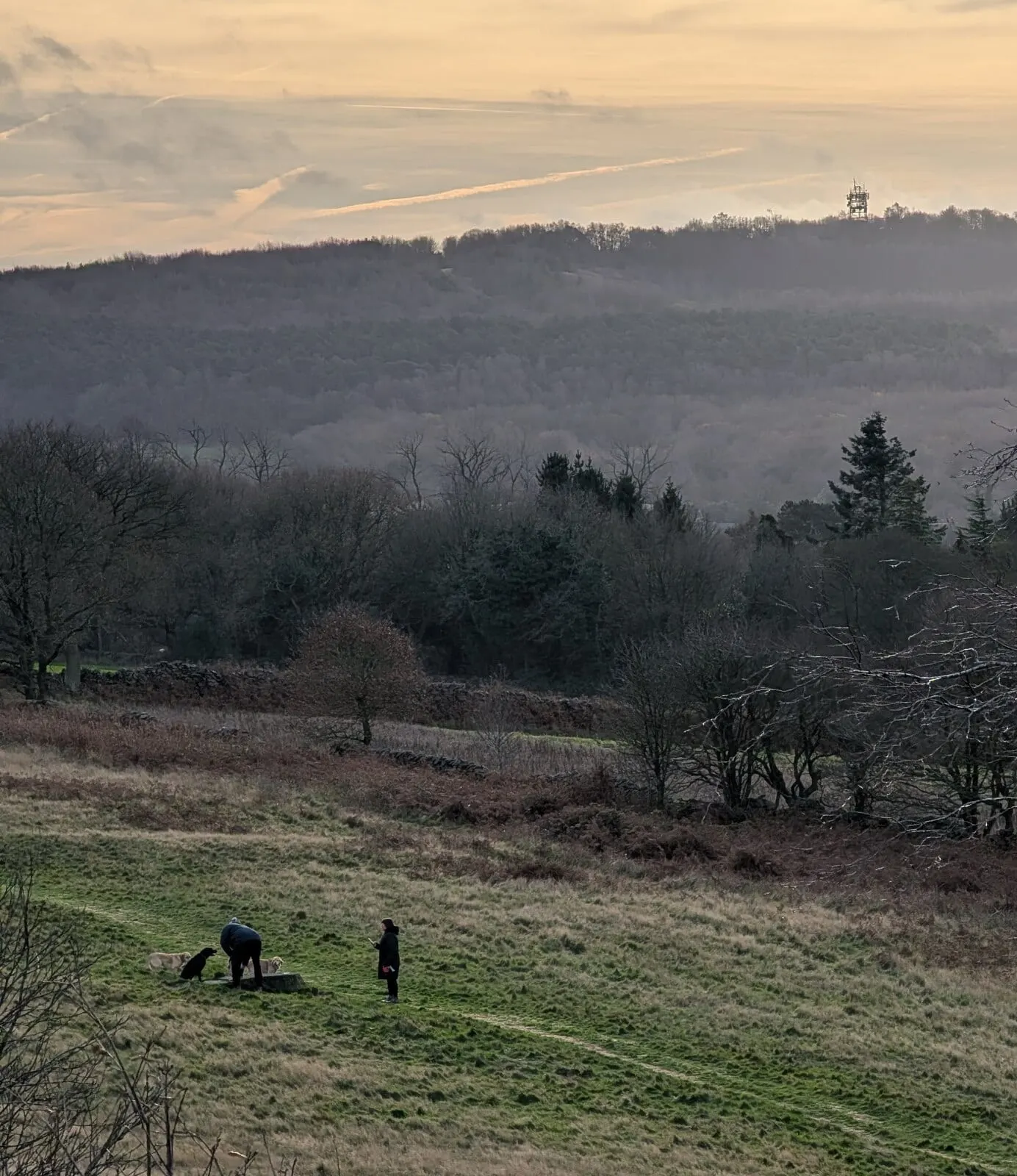 Photo: Bardon Hill, a 280m hill near Ulverscroft, Leicestershire, central England.